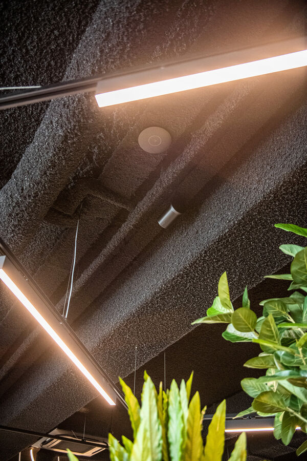 Zwart gespoten plafond met zichtbare balken en leidingen boven lichtlijnen en groene planten