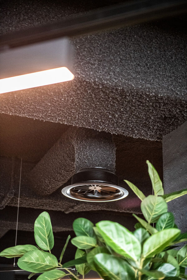 Korrelstructuur van zwart Zenko rond een ventilatierooster, met planten op de voorgrond